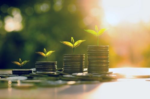 Ultimate business coach program - Module Financiën